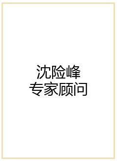 沈險(xiǎn)峰
